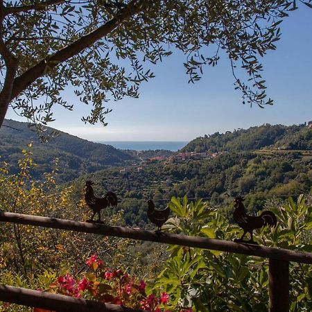 Pietrantica - Affittacamere Con Giardino Nuova Apertura A Trebiano -Citr Ngoại thất bức ảnh