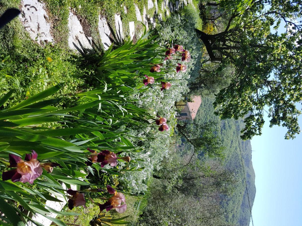 Pietrantica - Affittacamere Con Giardino Nuova Apertura A Trebiano -Citr Ngoại thất bức ảnh