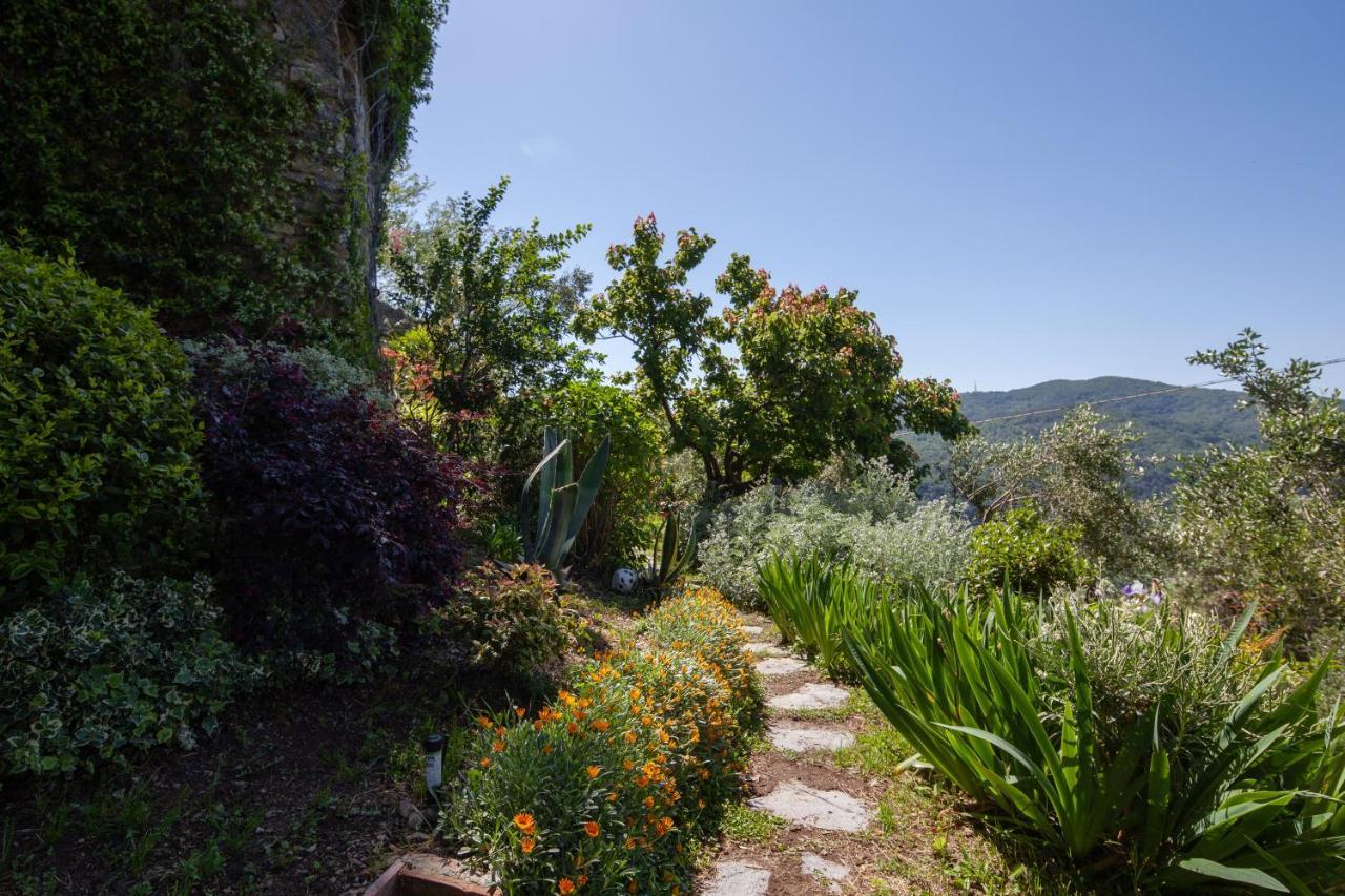 Pietrantica - Affittacamere Con Giardino Nuova Apertura A Trebiano -Citr Ngoại thất bức ảnh