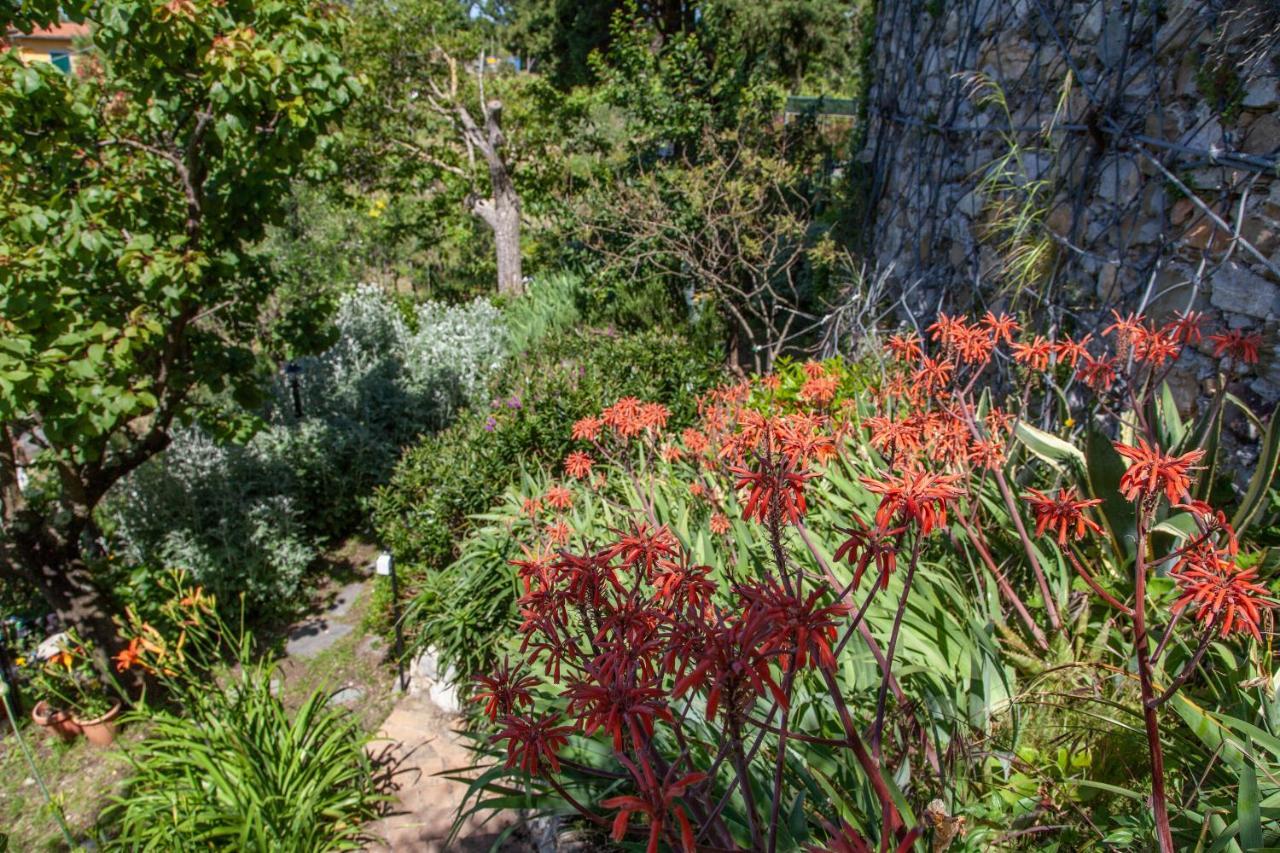 Pietrantica - Affittacamere Con Giardino Nuova Apertura A Trebiano -Citr Ngoại thất bức ảnh