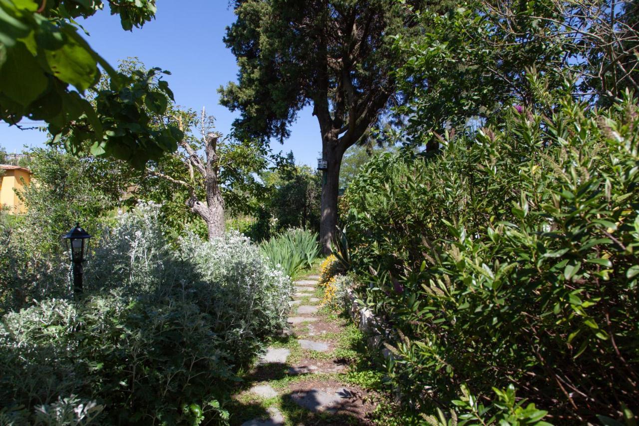 Pietrantica - Affittacamere Con Giardino Nuova Apertura A Trebiano -Citr Ngoại thất bức ảnh